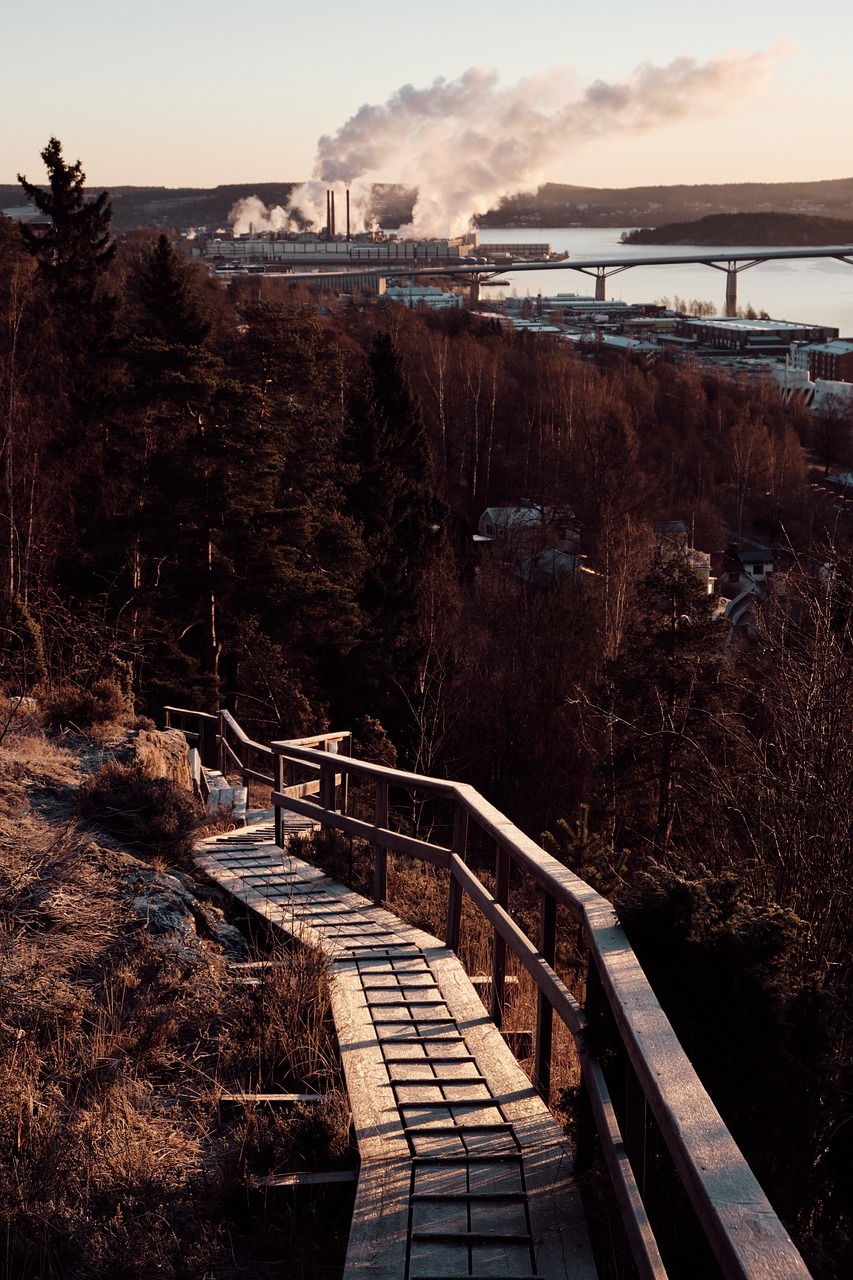 Chemin kaledopsy Rachel Freu